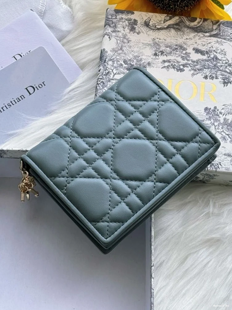 Dior Purse Wallets 46710 WeatherProof Christian 0725